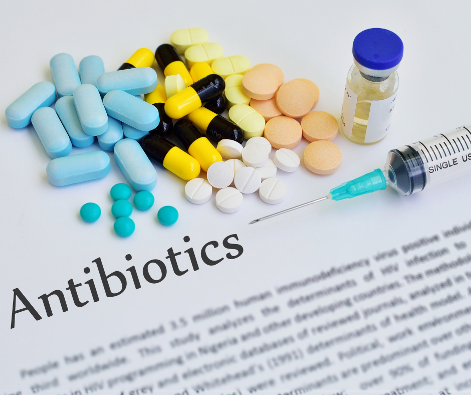 Antibiotics can impact gut health by altering the balance of beneficial bacteria. Support your gut during antibiotic use with probiotics, colostrum supplement and a healthy diet.