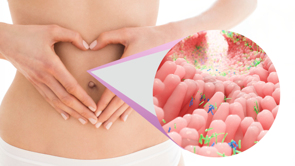 Optimize gut health and harness the benefits of healthy life.