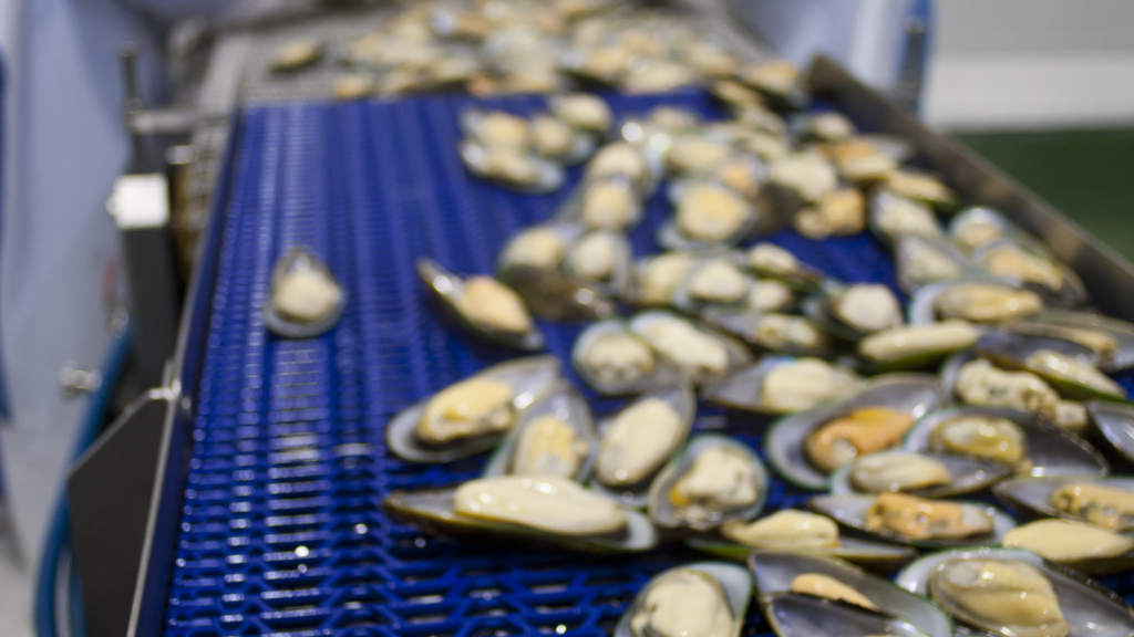 Green Lipped Mussel processing in a cGMP and HCAPP compliant and government regulated facility.