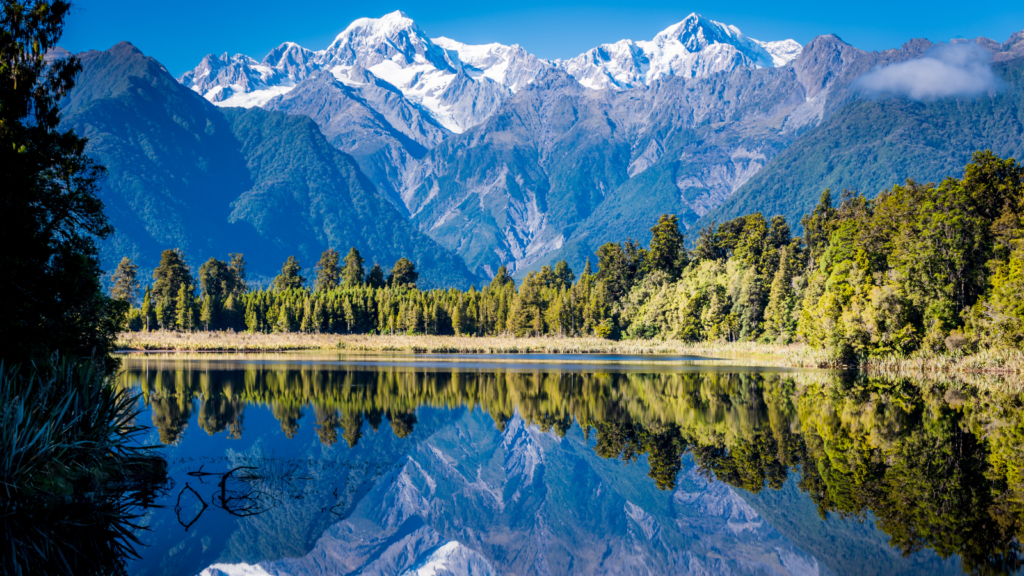 New Zealand's pristine waters the home to green lipped mussel